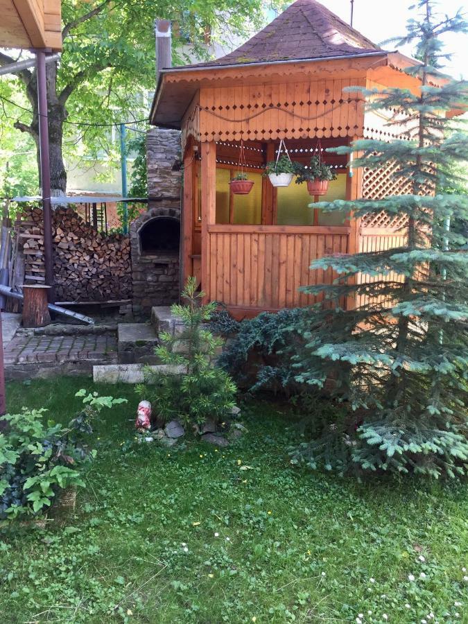 Zyma_Lito Guest House Yaremtche Extérieur photo